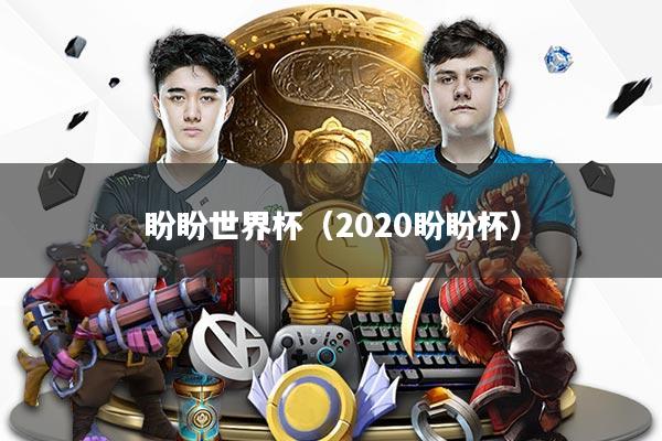 盼盼世界杯（2020盼盼杯）