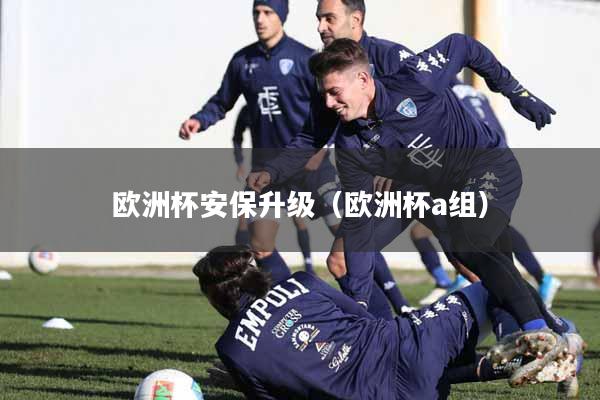 欧洲杯安保升级（欧洲杯a组）
