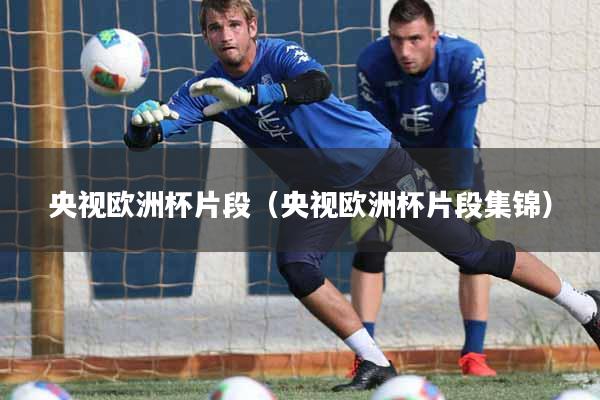 央视欧洲杯片段(央视欧洲杯片段集锦)